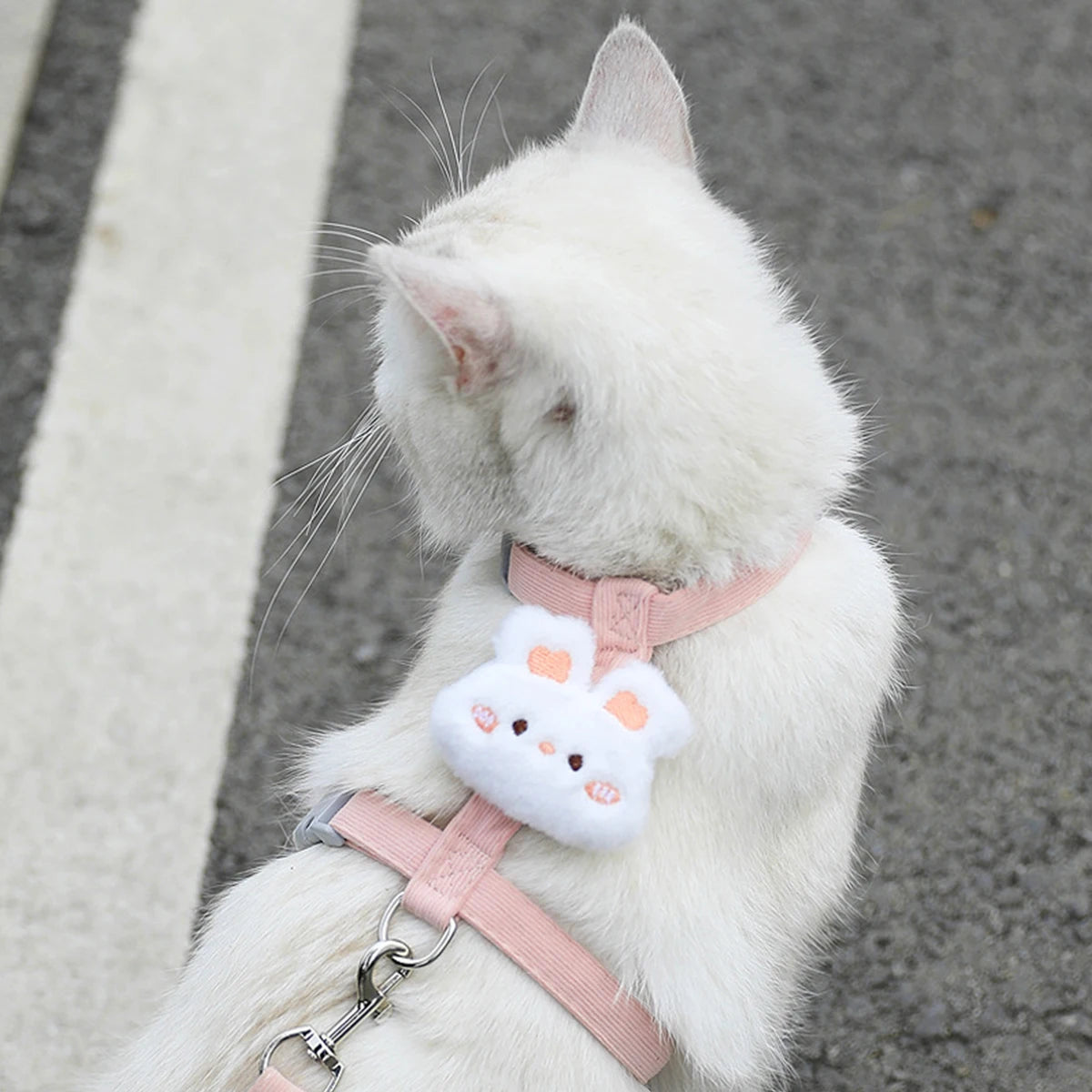 Adjustable Harness & Leash Set for Small Dogs and Cats