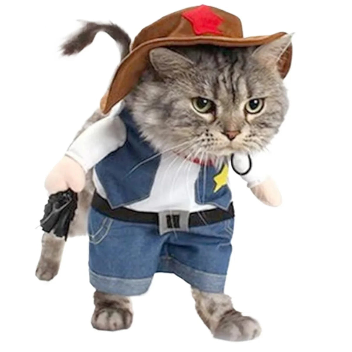 Cowboy Pet Halloween Costume