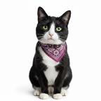Bandana Pet Collar