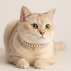 Pearl & Crystal Pet Collar for Small Dogs & Cats