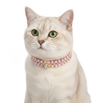 Pearl & Crystal Pet Collar for Small Dogs & Cats