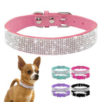 Rhinestone Leather Pet Collar