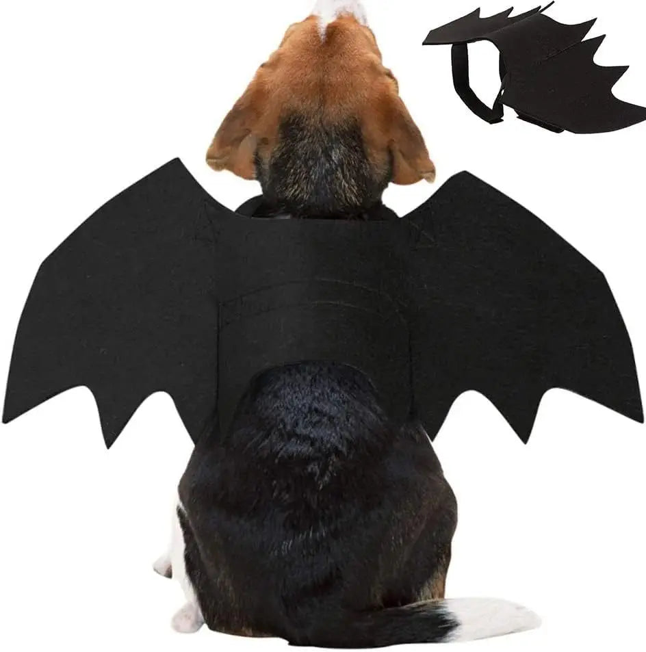 Halloween Black Bat Wings for Cats
