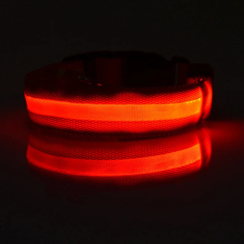 LED Glow in the Dark Dog Collar