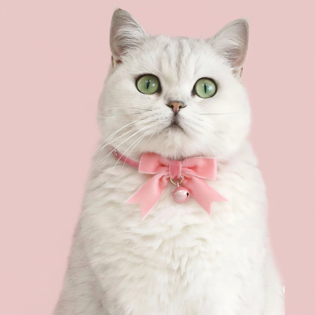 Pink Lace Bow Pet Collars
