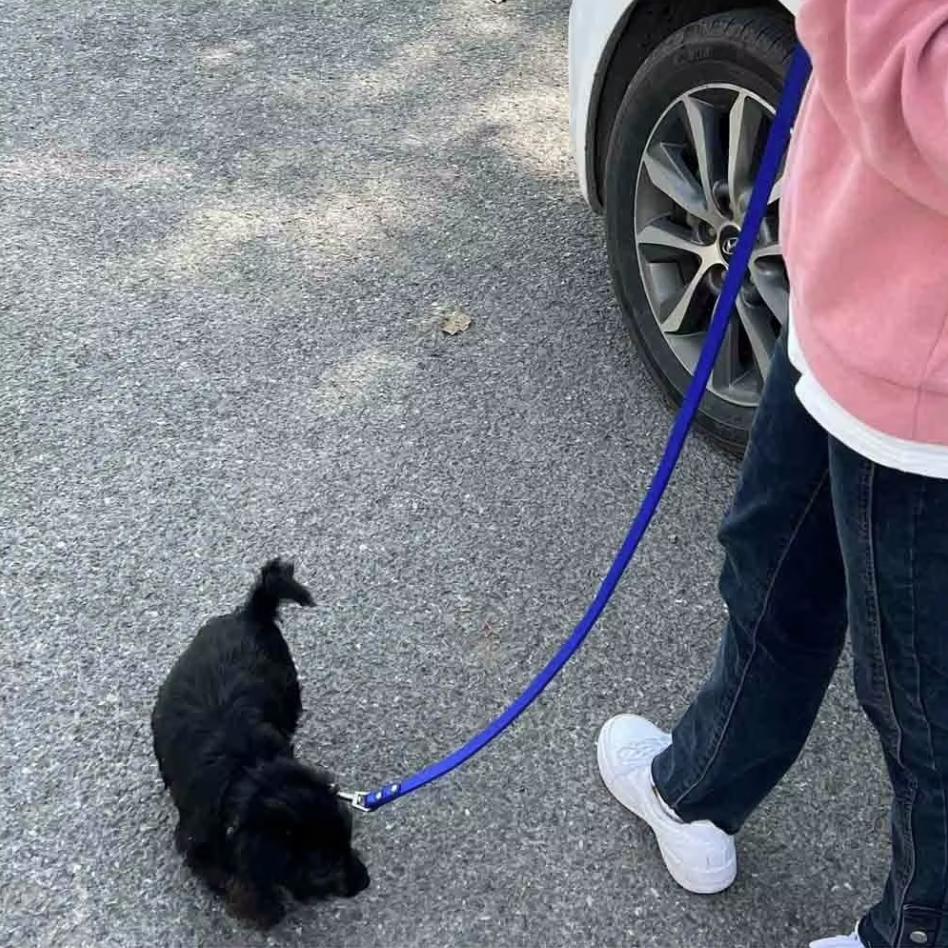 Vegan Leather Dog Leash